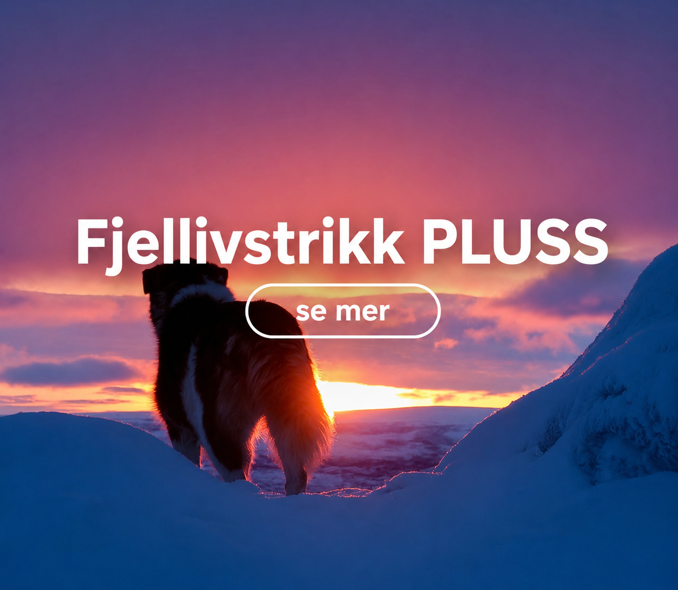 FjellivstrikkPluss