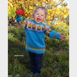 Digital Strikkeoppskrift Blgenseren 2-4 r