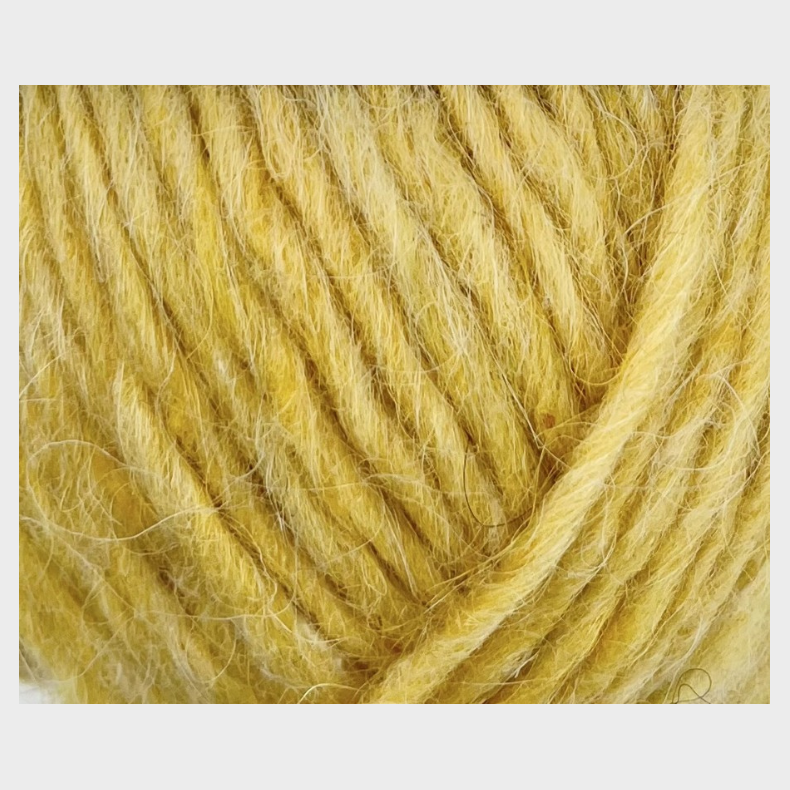 Alafosslopi - Artic Poppy 2640